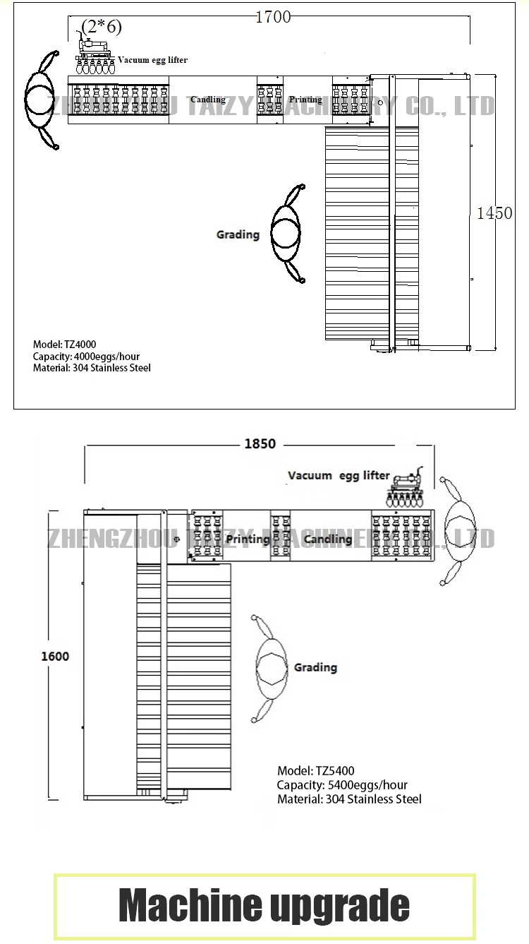 Egg Grading Machine design diagram Egg Grading Machine design diagram