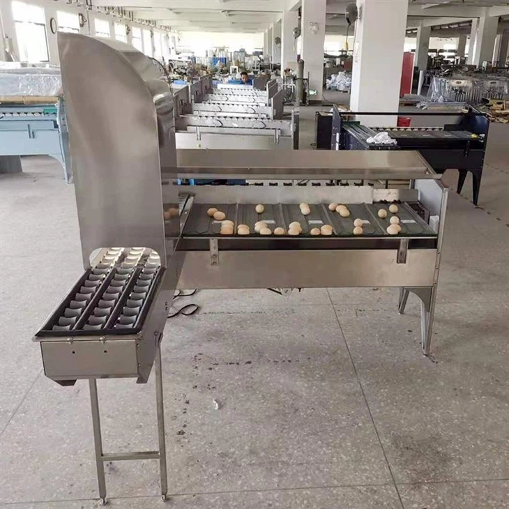 egg sorter (1)