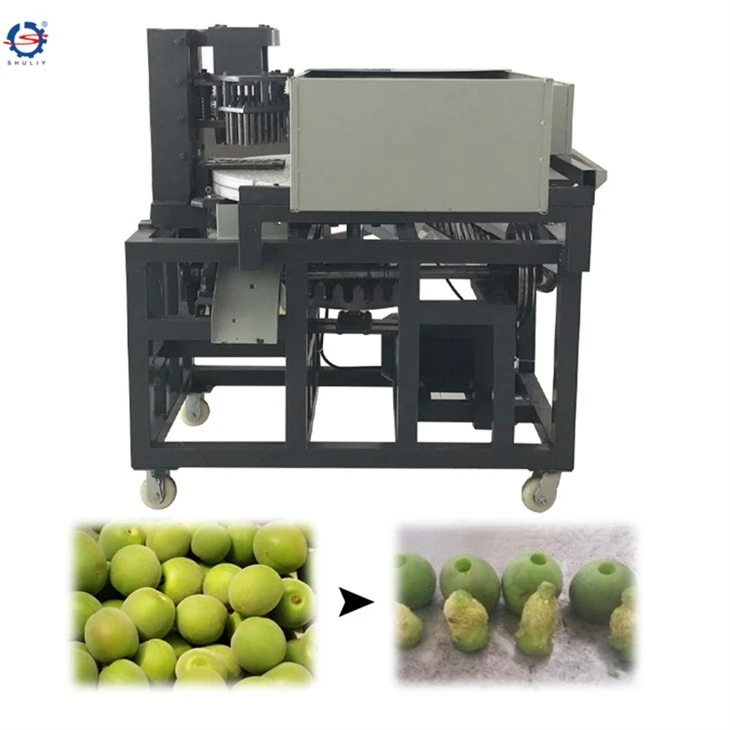 dates pitting machine