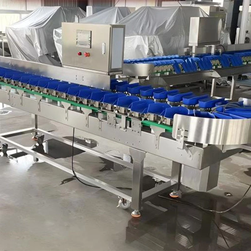 Automatic Fruit Sorting Machine best