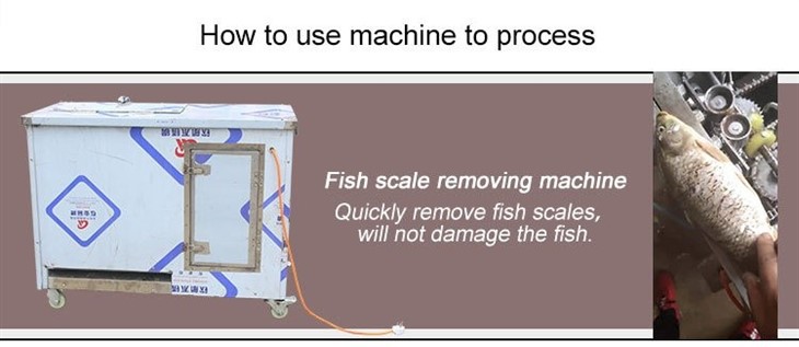 fish scale removing machine