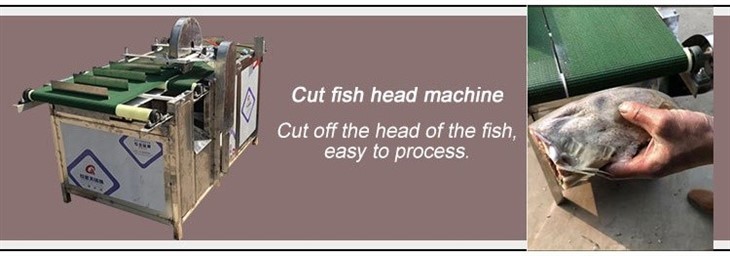 fish head removing machine