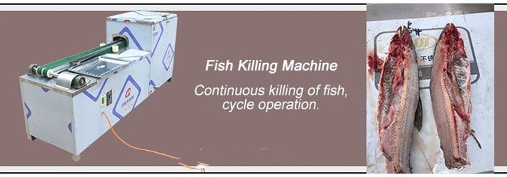 fish killing machine