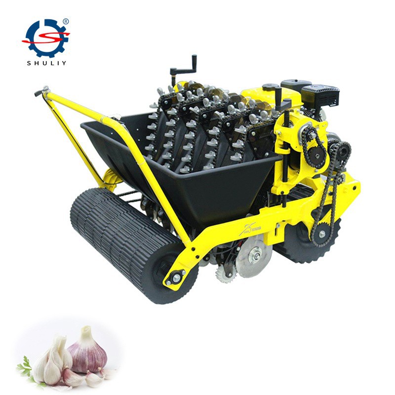 garlic planter (6)