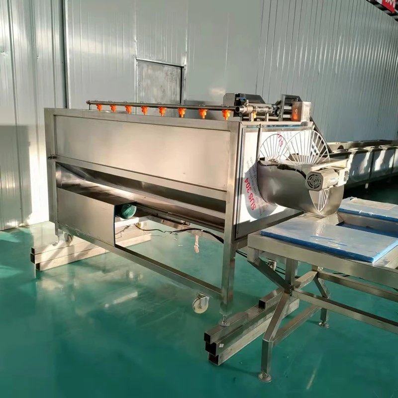 carrot cleaning machine