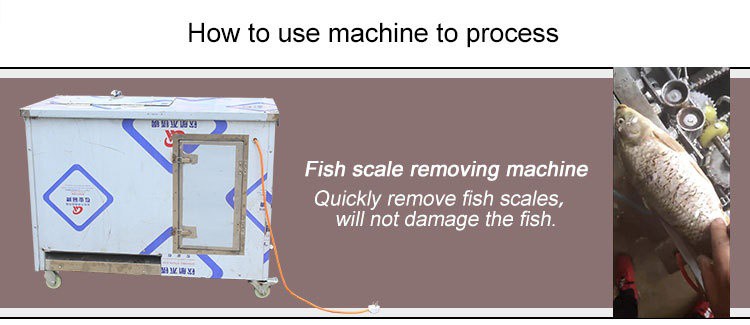 fish processing machine fish processing machine