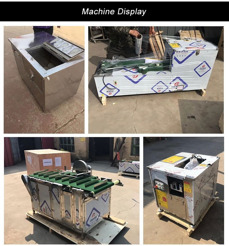 fish processing machine fish processing machine