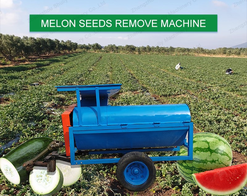 Pumpkin seed remover Pumpkin seed remover